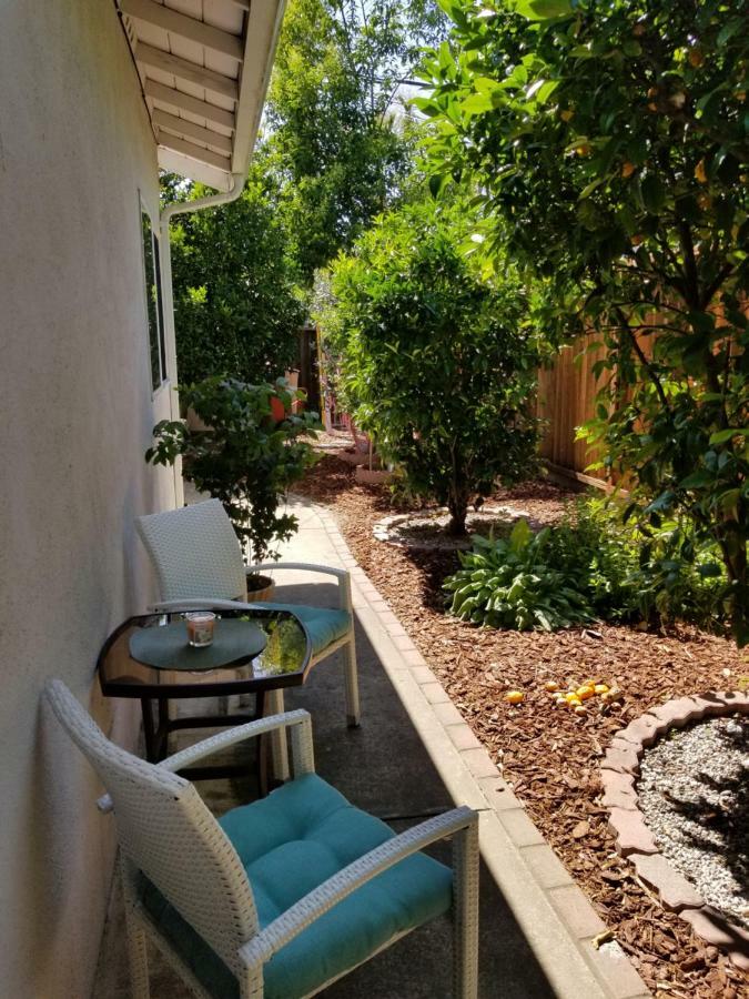 Luxury 2Br/1Ba Oasis In San Jose Ca Villa Ngoại thất bức ảnh